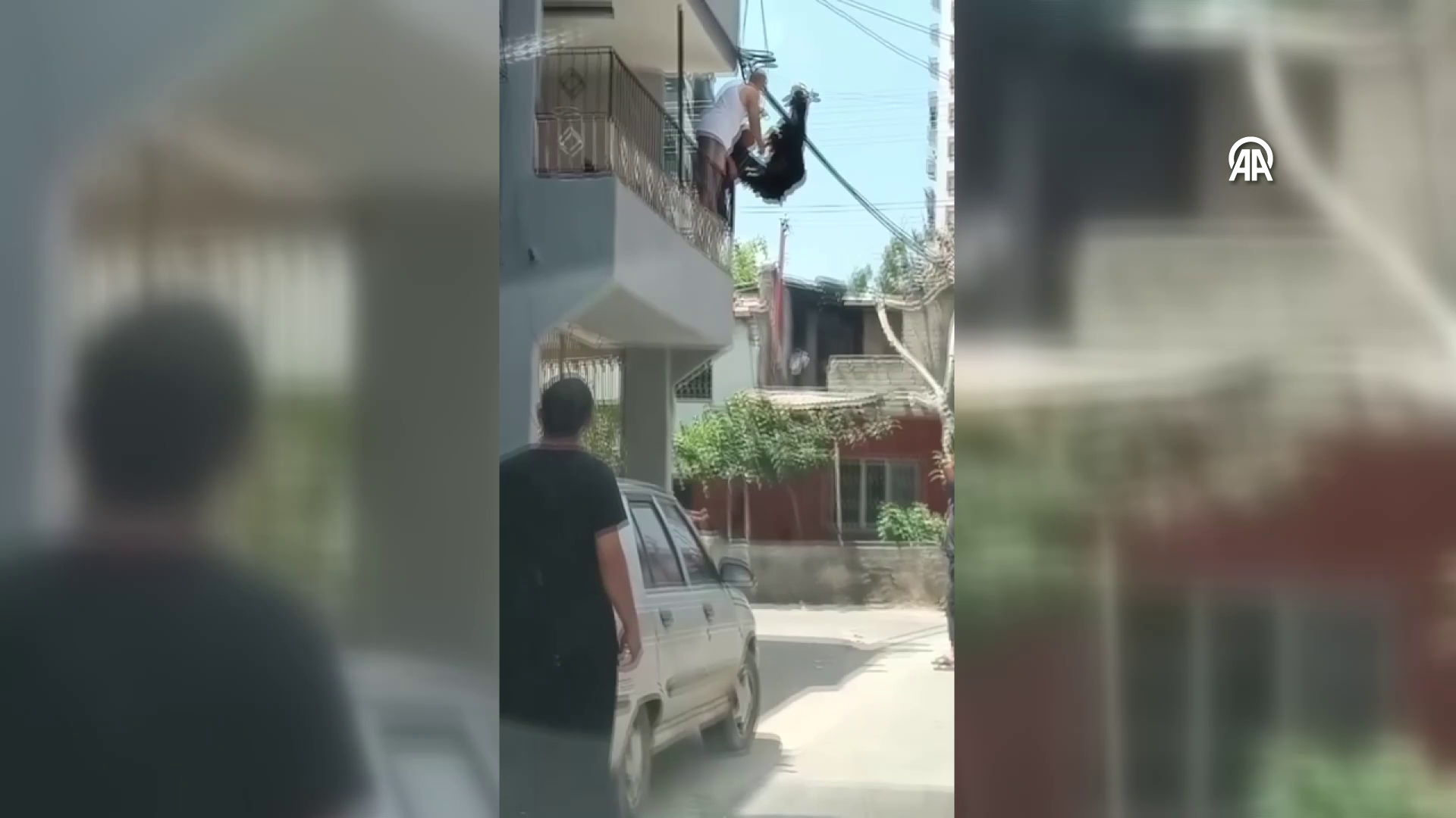 Damdan atlayan keçi tele takıldı