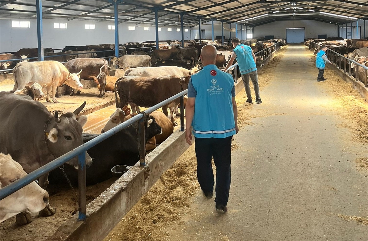 7 bin 200 kurban hissesi ihtiyaç sahiplerine