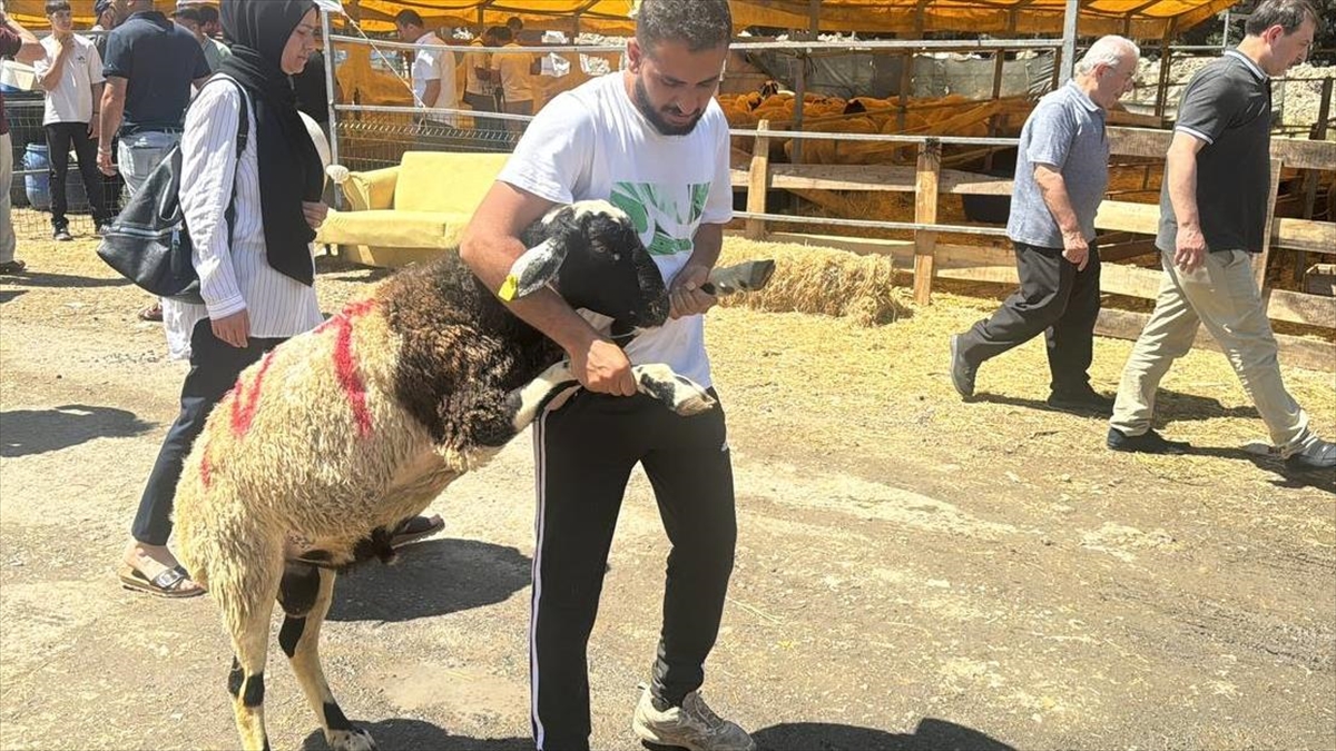 Kurban satışları 3.gün de devam etti