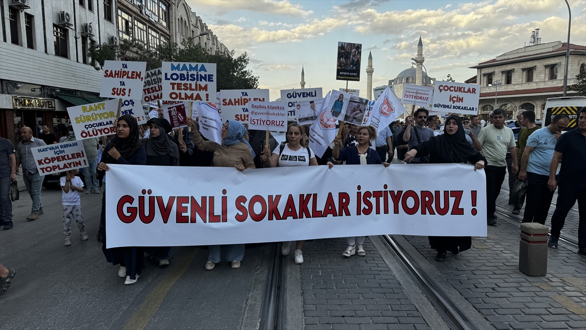 "Başıboş köpek sorununa 'dur' de" etkinliği