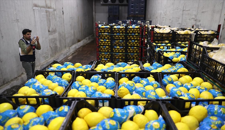 Limon depoları denetlendi
