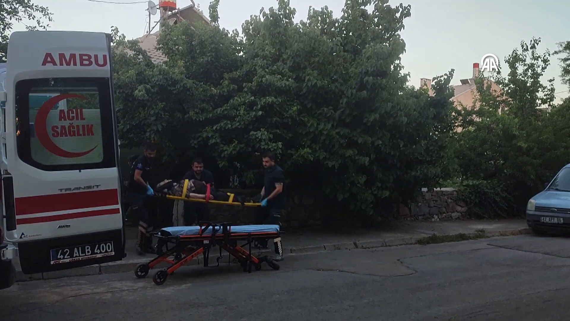 Ağaçtan düşen kadın yaralandı