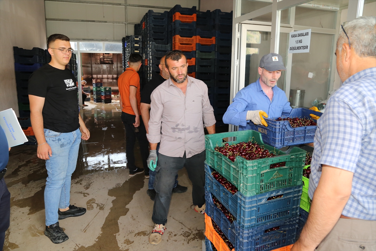 Hadim'in kirazı denetleniyor