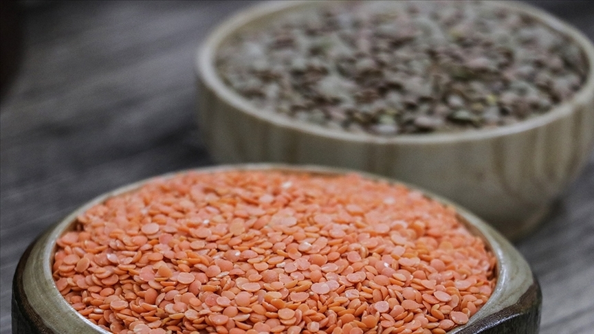 Hububat ihracatı  5,9 milyar dolar oldu