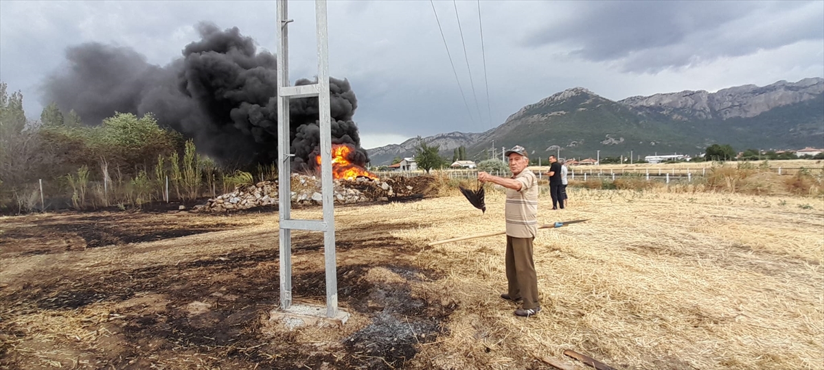 Kuş anız yangınına sebep oldu