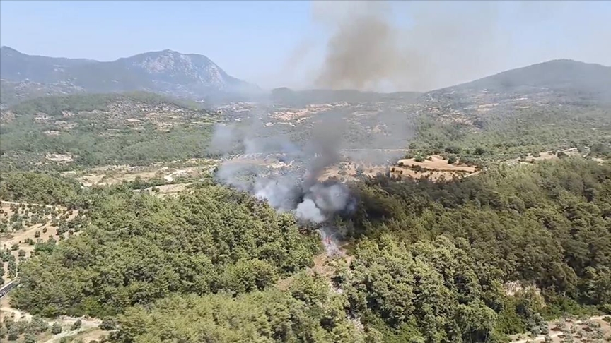 Milas'ta orman yangını