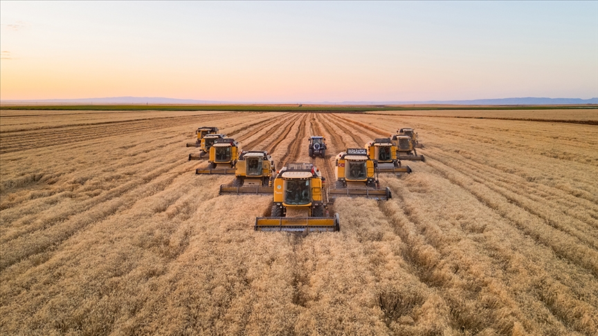 Buğdayda ithalat yasağı açıklaması