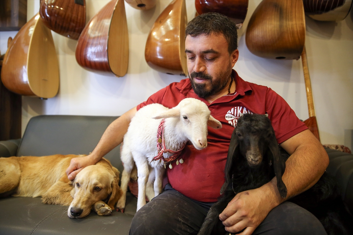 Her yere kuzusu ve köpeğiyle gidiyor