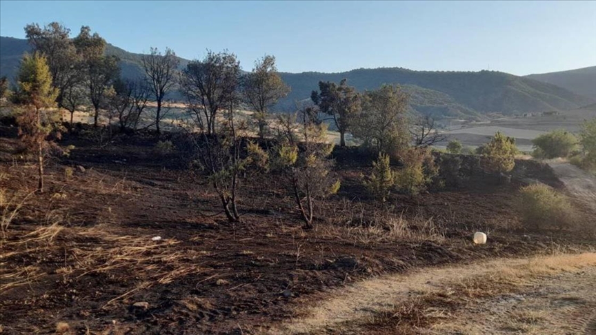 Mangalcılar etrafı da yaktı!