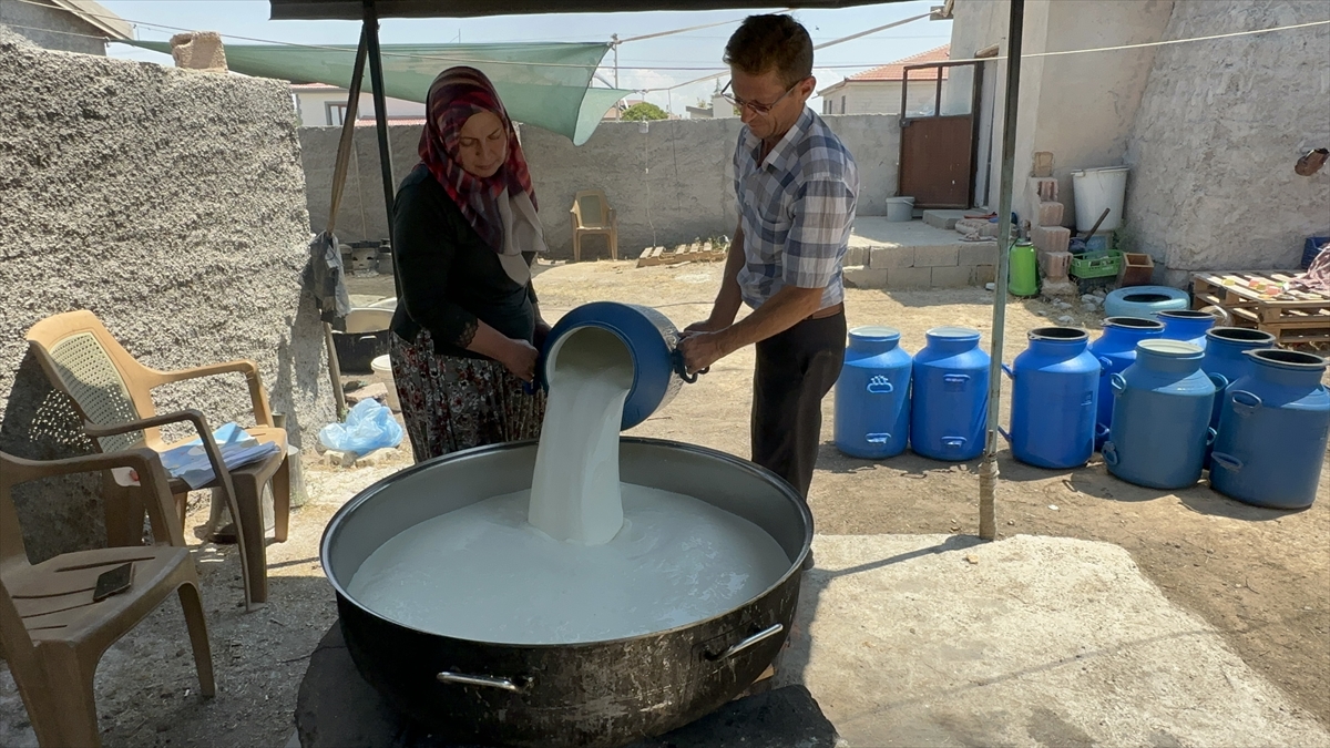 Her gün 70 km mesafe kat ediyor