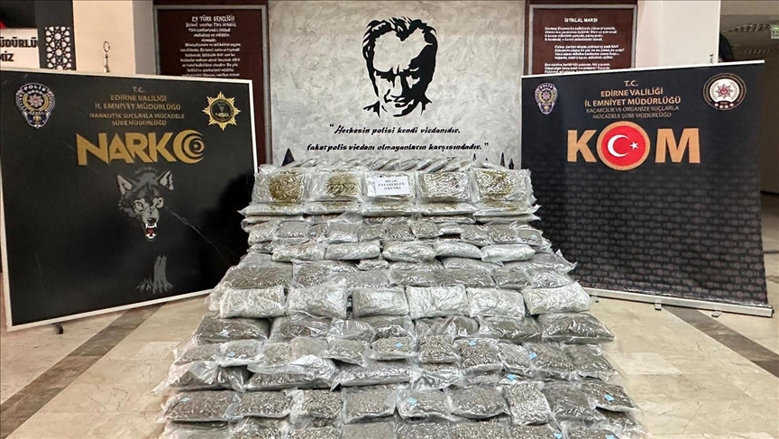 Yüzlerce kilo skunk ele geçirildi