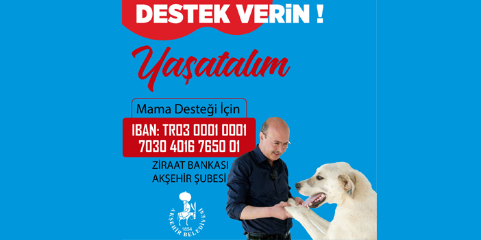 Sahipsiz sokak hayvanları için proje