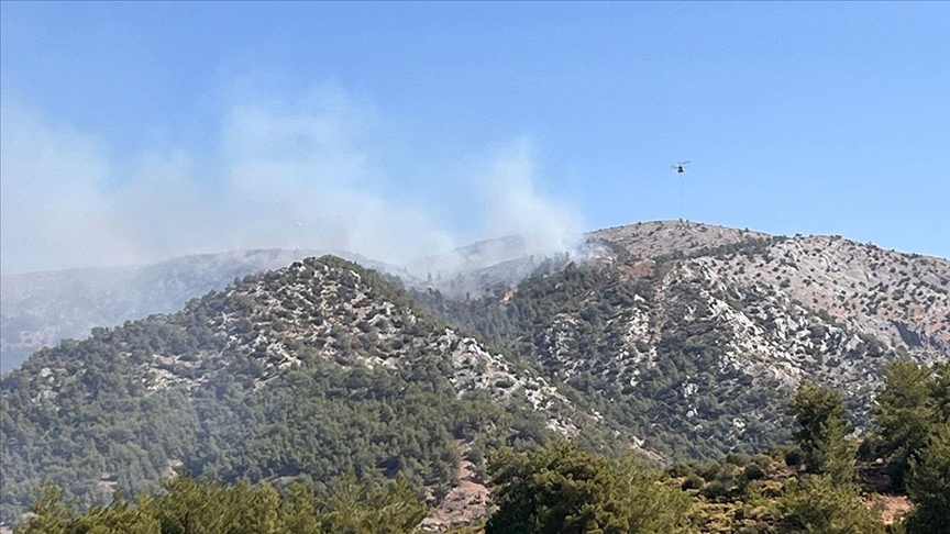 Muğla Milas'ta orman yangını