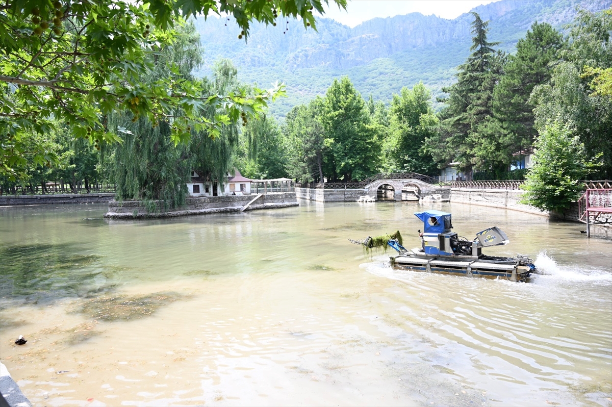 Kuğulu Park'ta temizleme çalışmaları