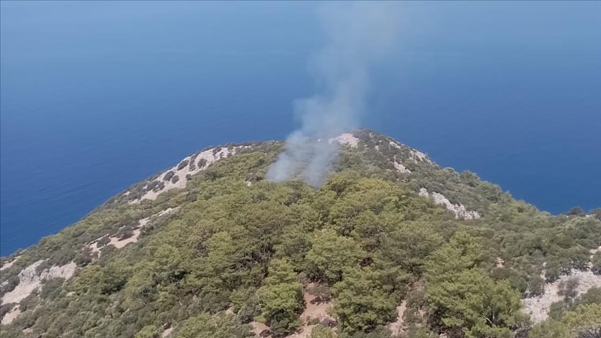Muğla'nın Ortaca ilçesinde orman yangını