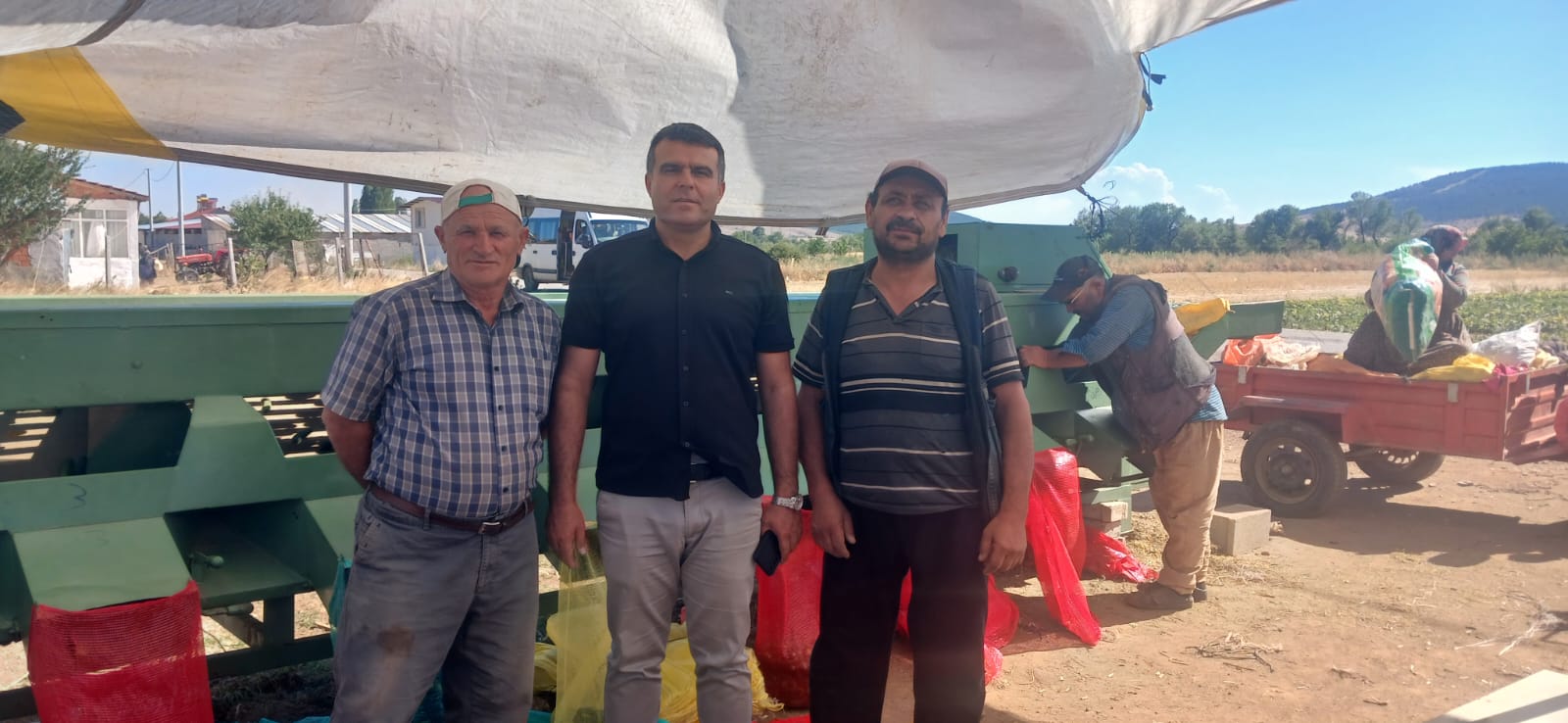 Salatalık hasadı Konya'lı çiftçiyi memnun etti