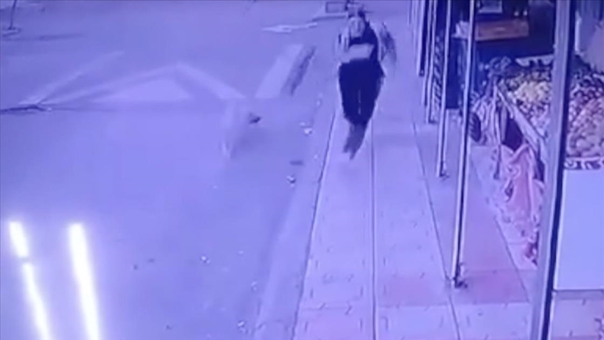 Sahipsiz köpeğin öğrenciye saldırması güvenlik kamerasında