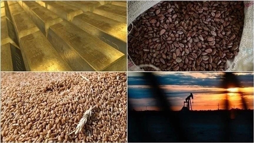 Emtia piyasası yükselişini sürdürdü