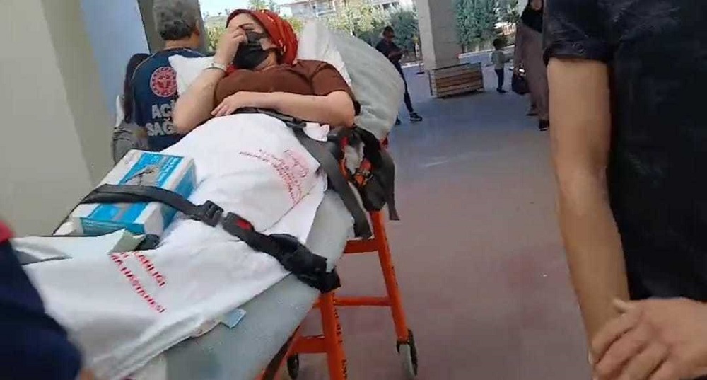 Günlerdir aralıksız hapşırıyor!