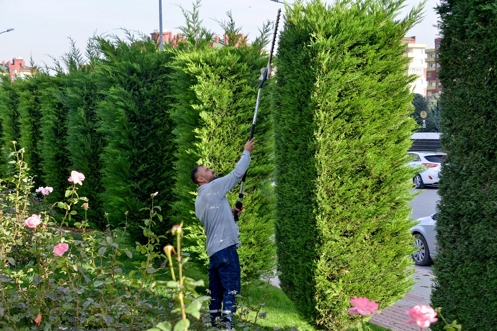 Park ve bahçelerde kış bakımı