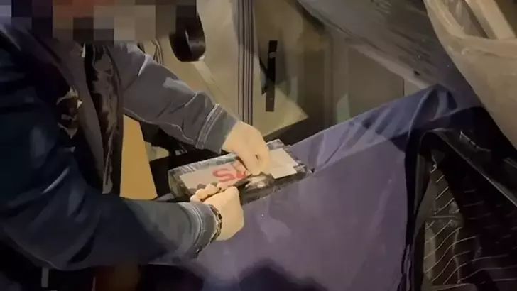 Ülkeye girerken yakalandı