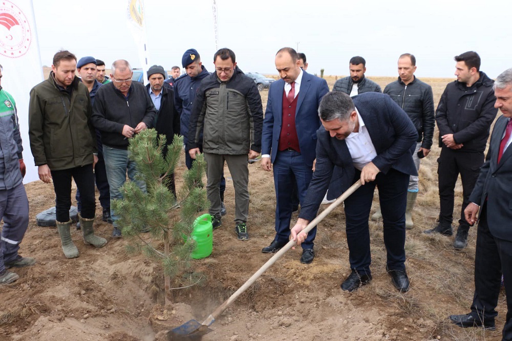 Bakan Yardımcısı memleketinde fidan dikti