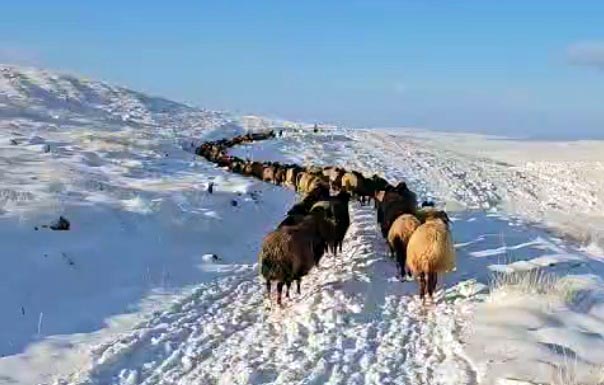 Toroslar'da kar, Akdeniz'de bahar havası