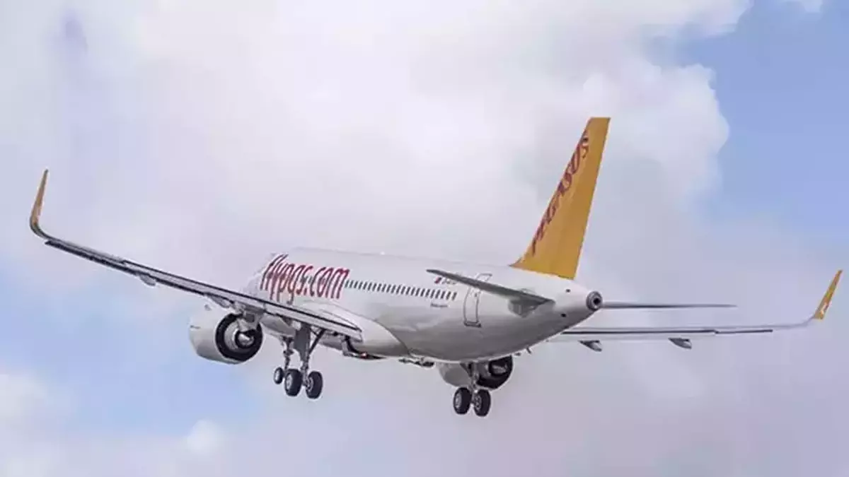 Yolcu uçağında saldırgan dehşeti
