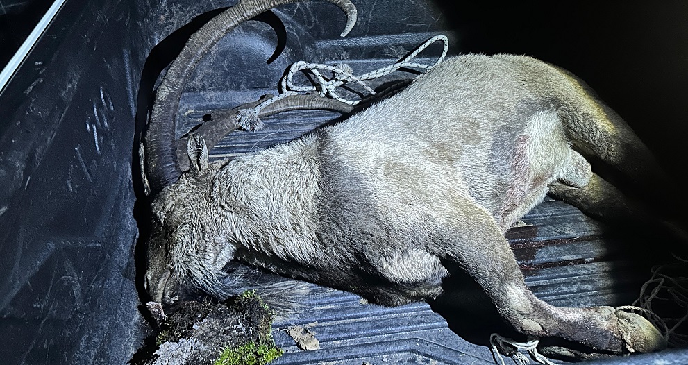 Konya milletvekiline kaçak avlanma cezası