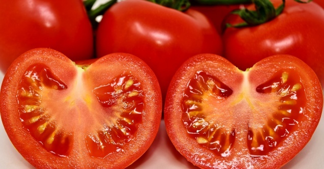 Bu da domates aşısı !