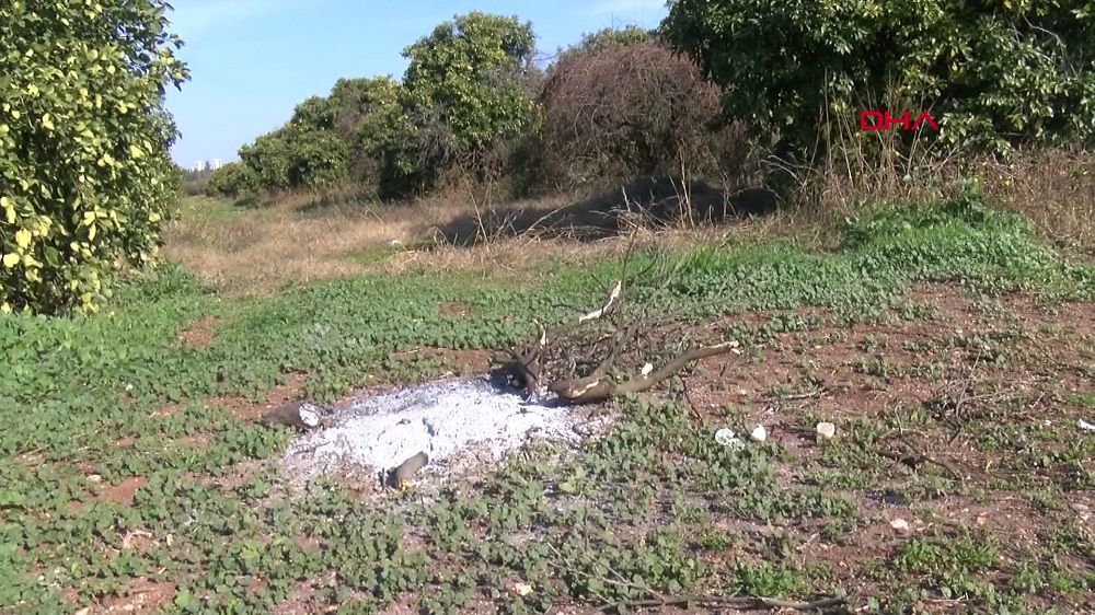Adana'da kadın cinayeti