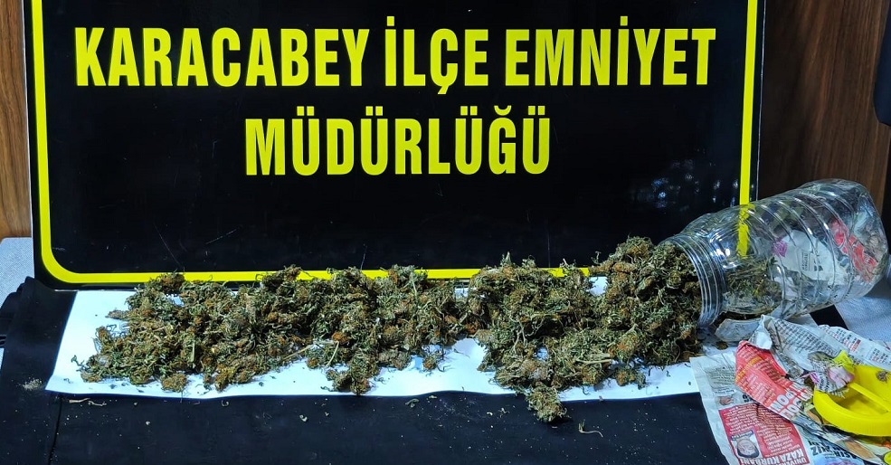 Kümeste Hint keneviri ele geçirildi