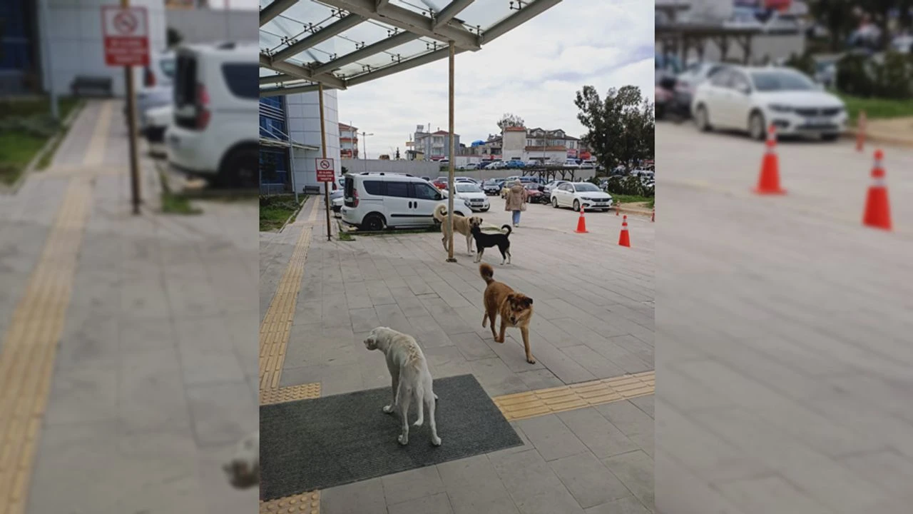 Bakanlık'tan 81 ilde hastanelere yazı