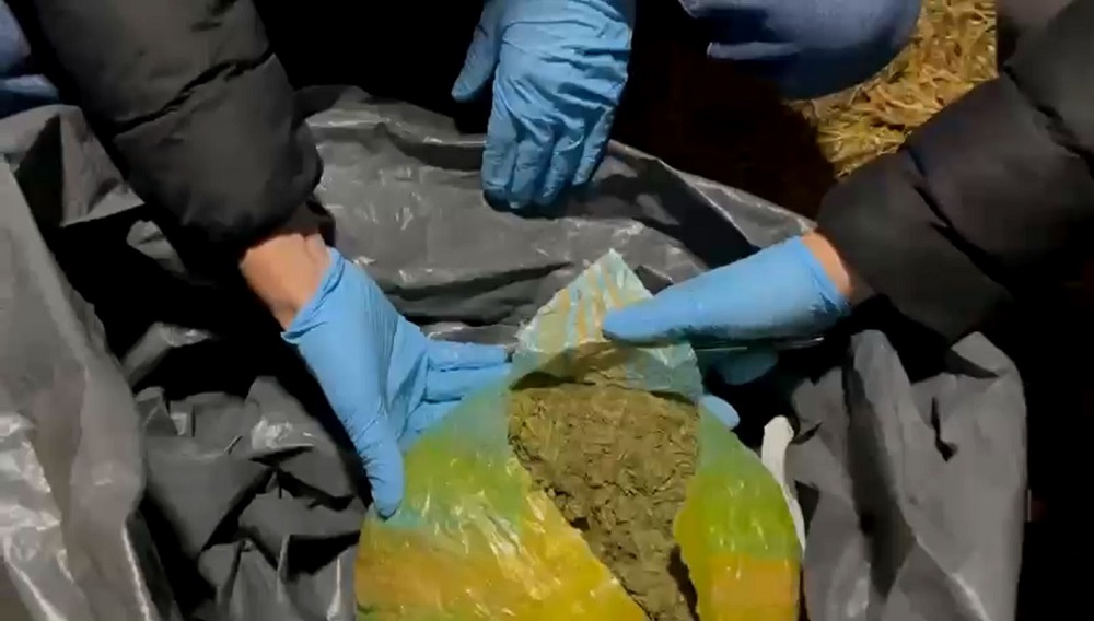 Esrarı kümese gizlemişler