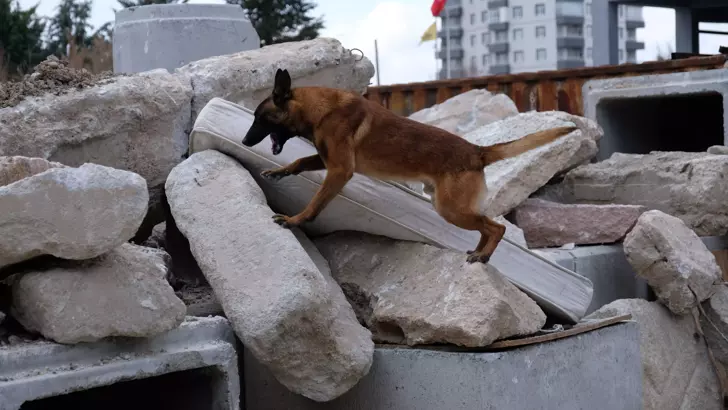 Konya 'Ateş', 'Duman' ve 'Atak' afetlere hazırlanıyor