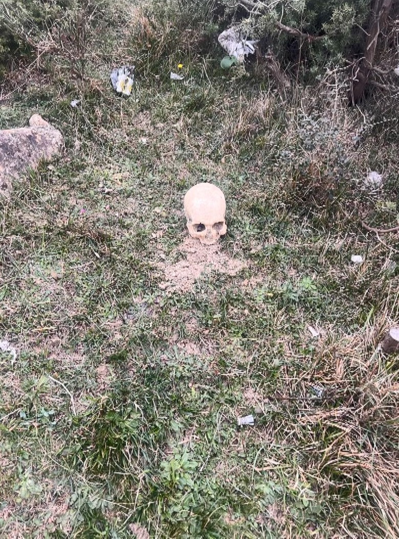 Arnavutköy'de insana ait kafatası bulundu