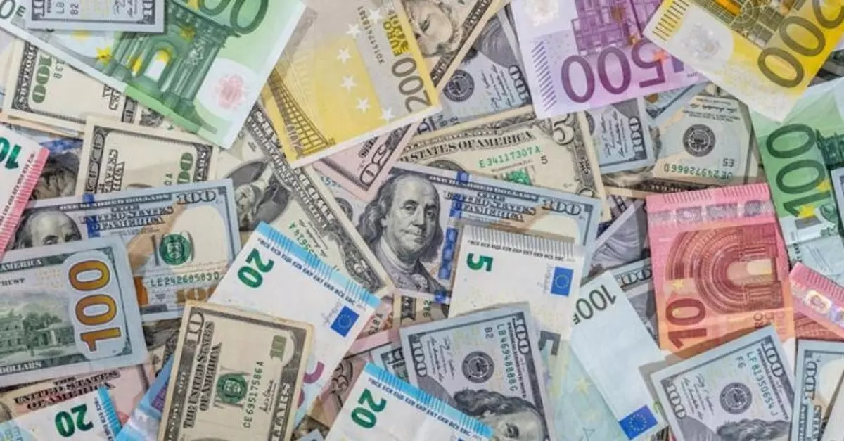 Merkez Bankası döviz satım işlemi yapacak
