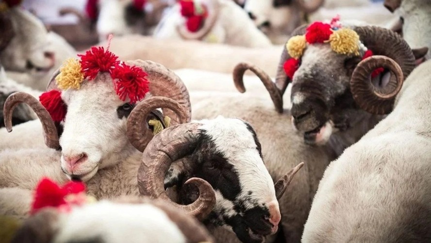 2025 yılı kurban kesim bedeli açıklandı
