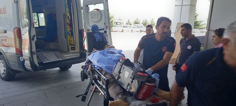 15 yaşındaki çocuk çobanı vurdu