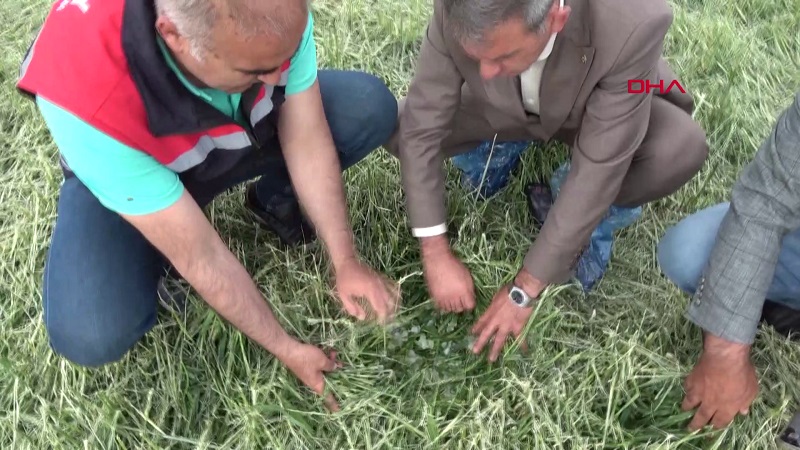 Aksaray'ı dolu vurdu