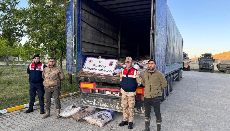 19 ton ölü inci kefali ele geçirildi