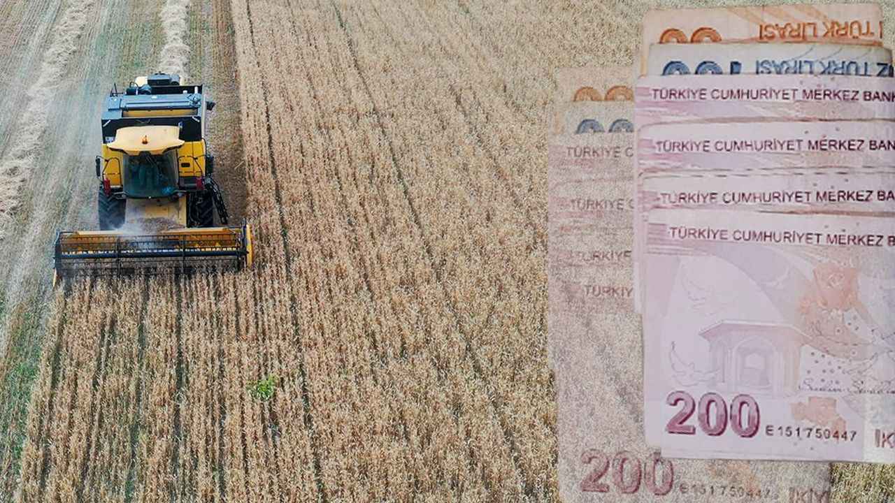7 bin 160 projeye hibe desteği