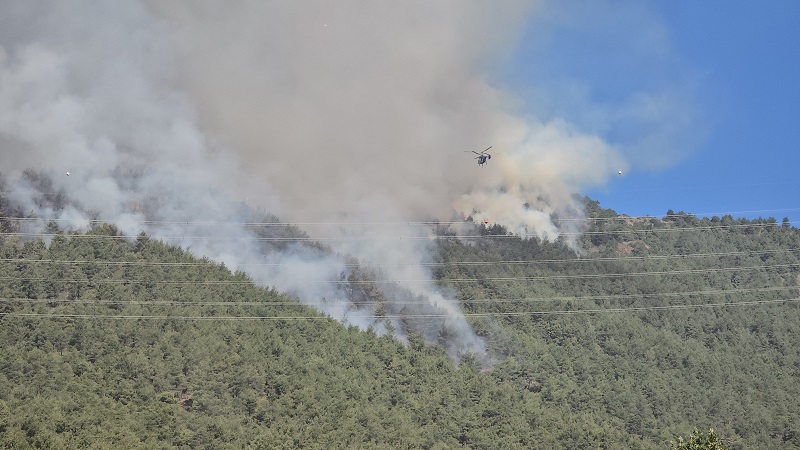 Hatay'daki orman yangını 2'nci gününde