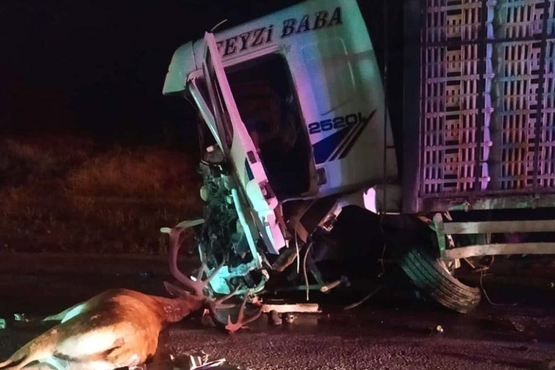 Bolu Mudurnu'da kaza: 1 ölü 1 yaralı