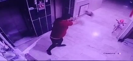 Kediyi yere fırlatan şüpheliye gözaltı