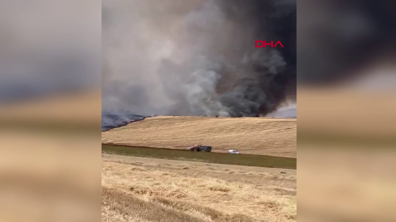 100 dönüm arazi kül oldu
