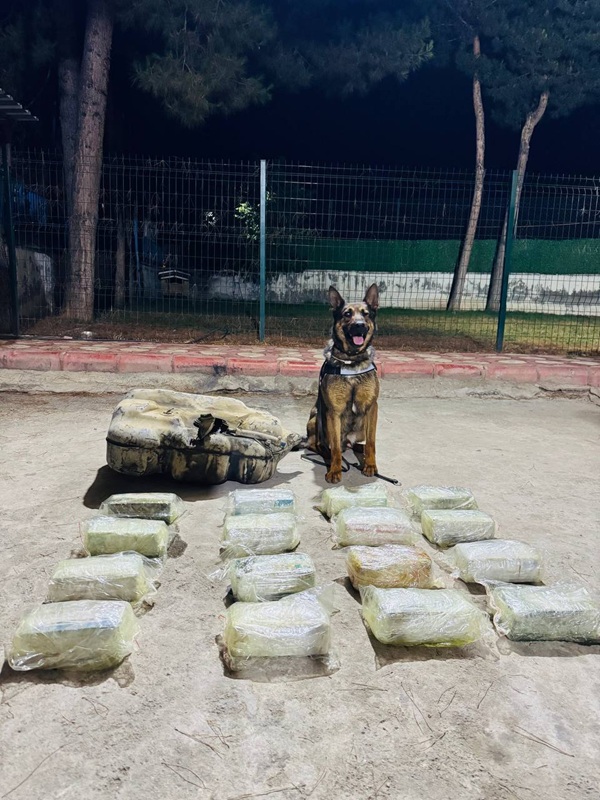 “Mailo” 20 kilo uyuşturucu buldu