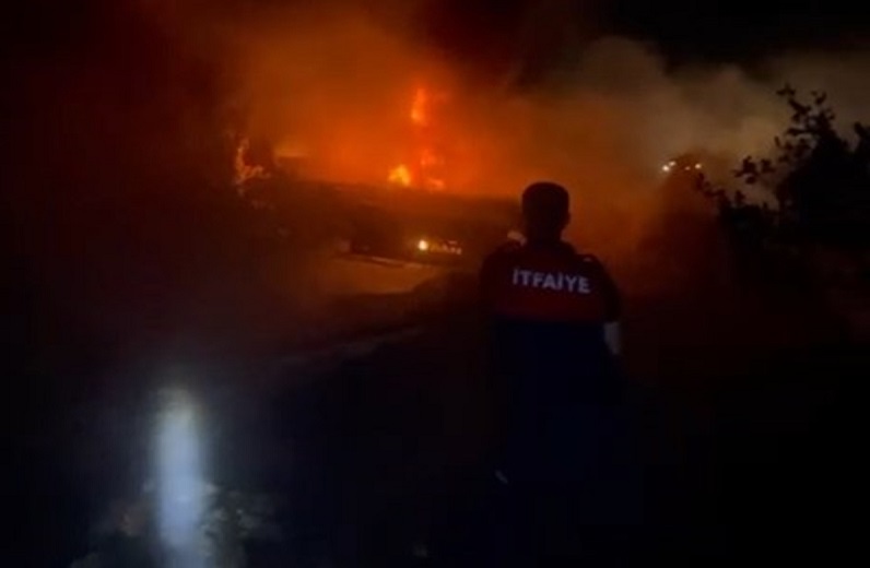 TIR'da çıkan yangın ormana sıçradı
