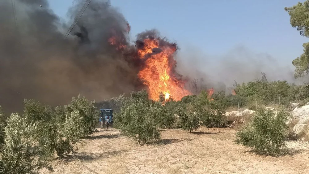Orman yangınları sürüyor