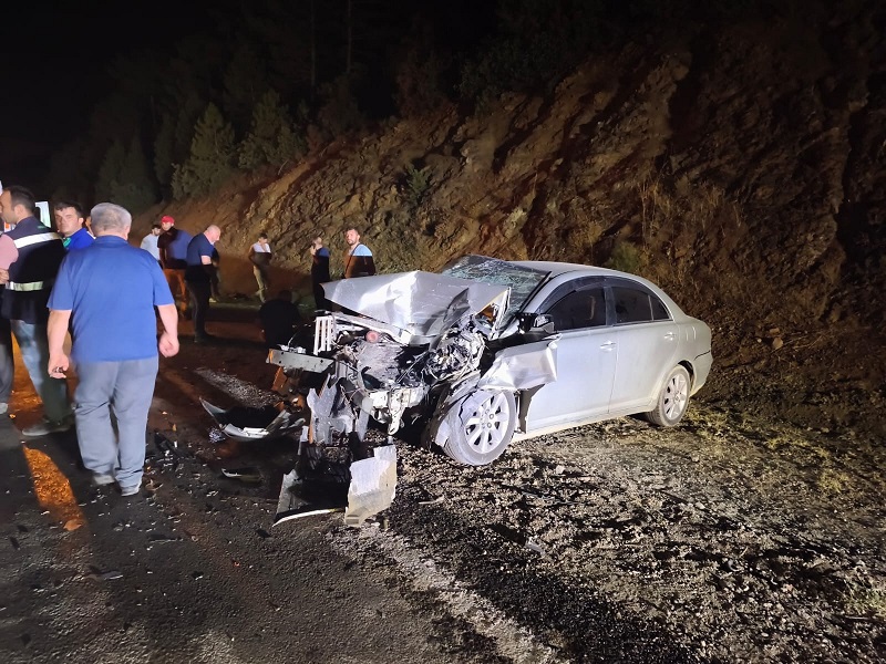 Otomobil orman yangınına su taşıyan tankere çarptı